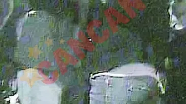 Andreea Popescu scrie pe blogul lui Bendeac: Ce vreau eu de la un barbat? Sunt destul de pretentioasa!