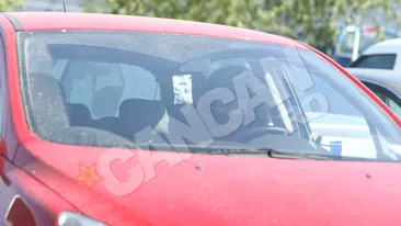 Anca Turcasiu are acum imagine de adolescenta