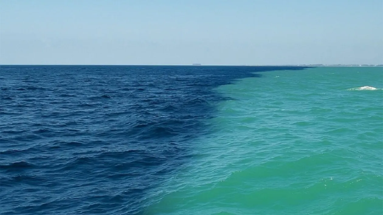 Motivul pentru care Marea Nordului și Marea Baltică nu se amestecă. Fenomenul rarisim care a trasat o graniță între cele două mări