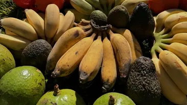 Cum arată femeia care de 33 de ani mănâncă doar fructe: ”Nu m-am uitat niciodată în urmă”