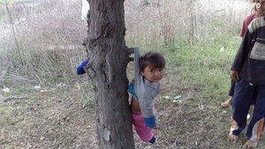 Vezi disperarea din ochii lui? Un puradel este agatat in pom de rudele mai mari si fac caterinca de el - Imaginea care te va enerva
