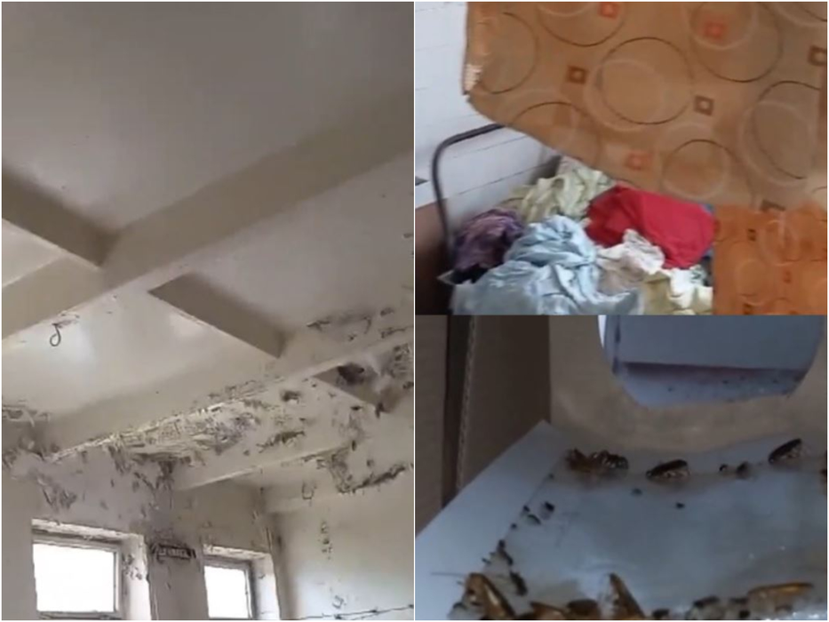 ANPC a închis temporar cantina Colegiului ”Henri Coandă” din Timișoara/ sursă foto: opiniatimisoarei