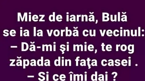 BANC | Miez de iarnă, Bulă se ia la vorbă cu vecinul