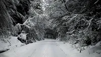 METEO 9 decembrie. Afla cum va fi vremea astazi!