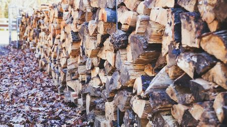 Cât costă un metru cub de lemne la jumătatea lui septembrie 2025, după creșterea TVA-ului