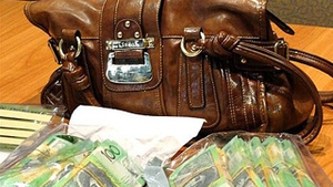 Pastra 102.000 de dolari in geanta