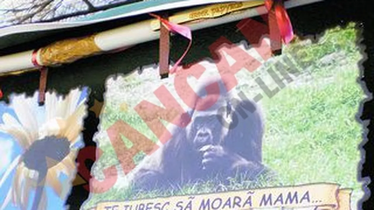 Felicitare trasnita de 8 Martie