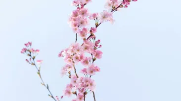 Ce se întâmplă pe 20 martie, la ora 16:46? Cum vom fi afectați cu toții de această schimbare