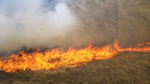Incendiu puternic la Iași! Este afectată o suprafață de 50 de hectare de vegetație uscată, la mică distanță de locuințe