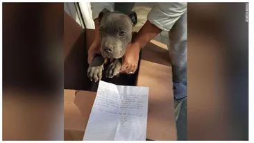 Poveste sfâșietoare! Un băiat de 12 ani şi-a abandonat câinele la un adăpost de animale. Ce a scris în biletul pe care l-a lăsat lângă patruped