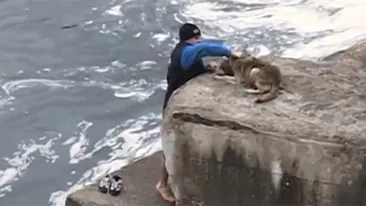 Vei fi impresionat pana la lacrimi! Un clujean a salvat un caine din apele reci ale Somesului! Reactia maidanezului e incredibila