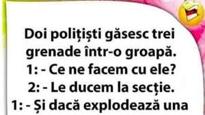 BANCUL ZILEI | Doi polițiști găsesc 3 grenade într-o groapă
