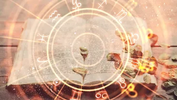 Zodiile protejate de Univers până în martie 2026. Au parte de stabilitate și scapă de toate grijile