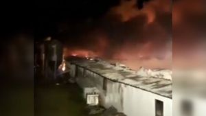 Sute de animale au murit într-un incendiu violent izbucnit la un adăpost din Buzău. VIDEO