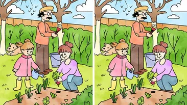 TEST IQ | Câte diferențe sunt între aceste 2 imagini? Doar geniile le văd pe toate