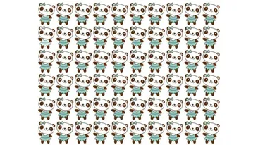 Test de logică | Un singur ursuleț panda este diferit de toți ceilalți. Îl puteți găsi?