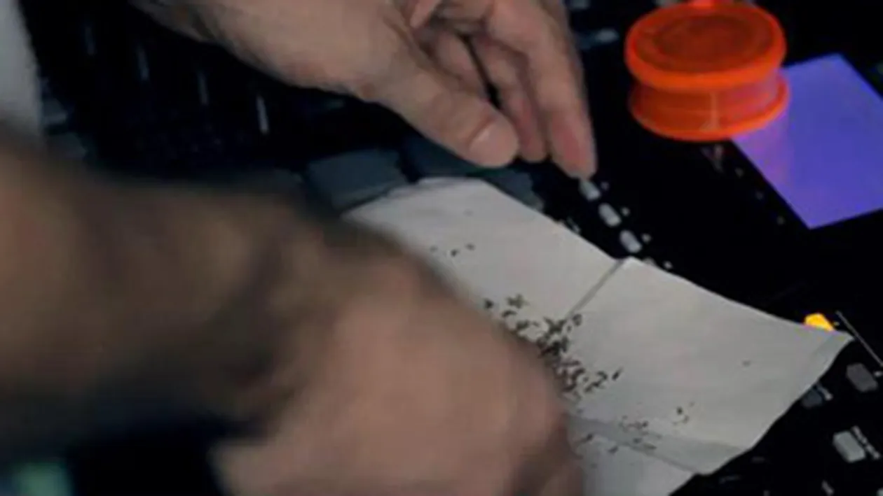 Sisu nu se invata minte! Ruleaza jointuri chiar si in ultimul clip