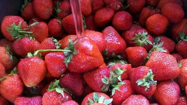 Căpșuni sau căpșune, care este varianta corectă?