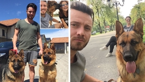 Cu lacrimi în ochi, Gabriela Cristea a mărturisit că este în doliu, după ce unul dintre câinii familiei a murit: “Avea 6 ani jumate. Totul a fost fulgerător de rapid”