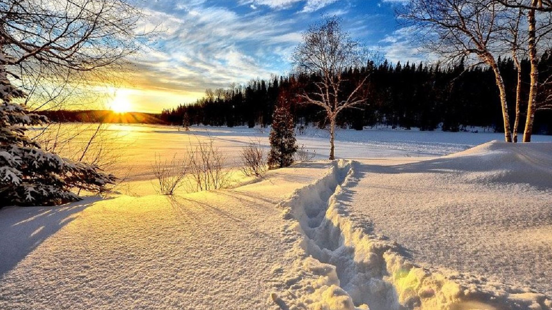 Meteorologii au anunțat ploi, ninsori și vânt! Pentru ce zone este valabilă avertizarea de vreme rece
