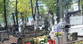 Galerie foto - poza 3