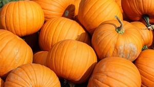 Prețuri de groază, înainte de Halloween! Cât costă un kilogram de dovleac la final de octombrie