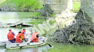 Pompierii din Suceava, in actiune! Catel salvat din mijlocul apelor