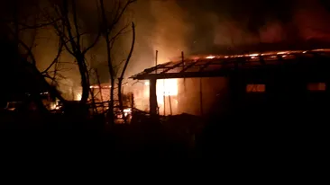 Incendiu devastator la o fermă din Giurgiu. Mama proprietarului a făcut stop cardio-respirator și a murit. Multe animale au ars de vii