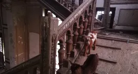 Galerie foto - poza 2