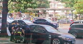 Galerie foto - poza 2