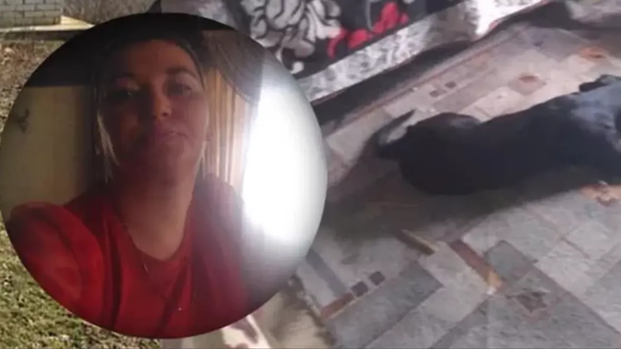 Femeia cu 135 de câini și pisici a ajuns în pragul disperării. Ieșeanca cere ajutorul oamenilor: ”Am acumulat prea multe datorii”