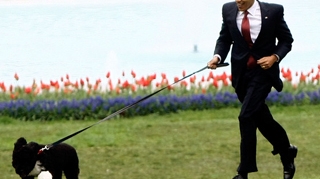 Barack Obama strange fecalele cainelui sau, cand il plimba prin gradina Casei Albe