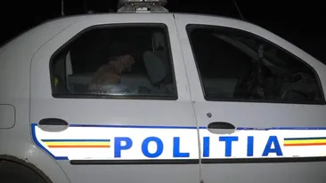 Crimă îngrozitoare în județul Botoșani! O mamă a fost ucisă de propriul fiu. Ce a făcut cu trupul femeii după ce a înjunghiat-o mortal