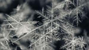 METEO 15 IANUARIE: Vremea va fi in general inchisa
