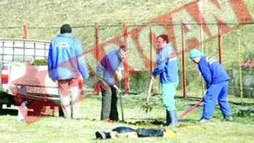 Nu mai vor carne de pui