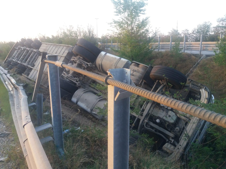 Un tir încărcat cu sute de porci s-a răsturnat pe A1. Animalele au rămas captive după impact | VIDEO