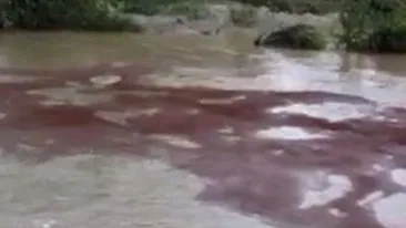 Raul Olt a fost curatat de titei. 25 de tone au fost extrase cu ajutorul vidanjelor