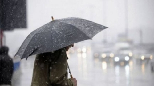 Meteorologii au emis un Cod Galben de viscol pentru patru judeţe din ţară!