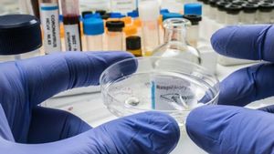 Pandemia de coronavirus putea fi evitată! Ce se întâmpla la laboratorul din Wuhan? Autoritățile au tras semnalul de alarmă din 2018