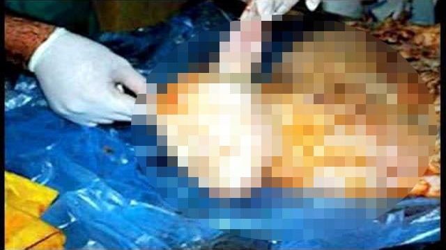 SOCANT! S-au INGROZIT cand au vazut ce-a NASCUT! Toti sunt convinsi ca acest MONSTRU este semnul unui BLESTEM!