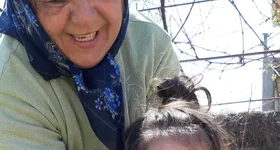 Galerie foto - poza 3