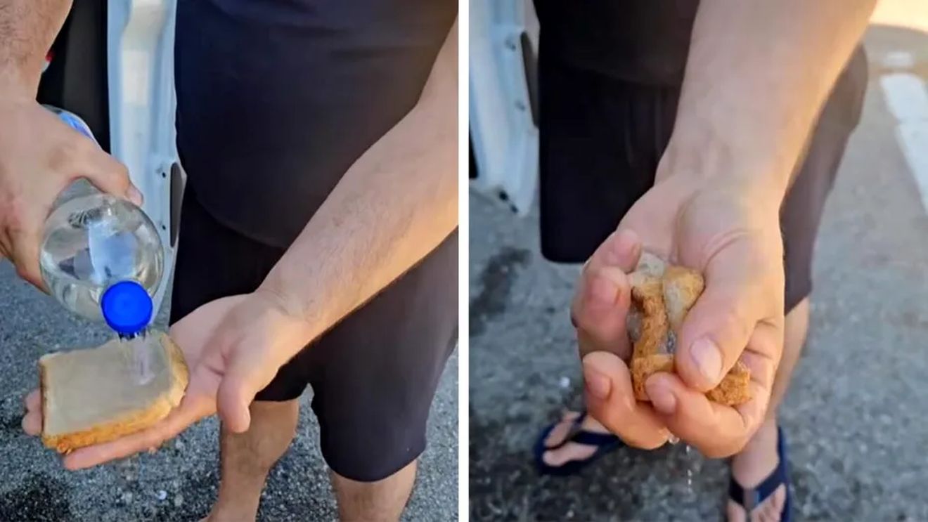 Ce ar conține pâinea 'burete' din Franța. A devenit virală datorită unui român: „De asta vă îmbolnăviți”