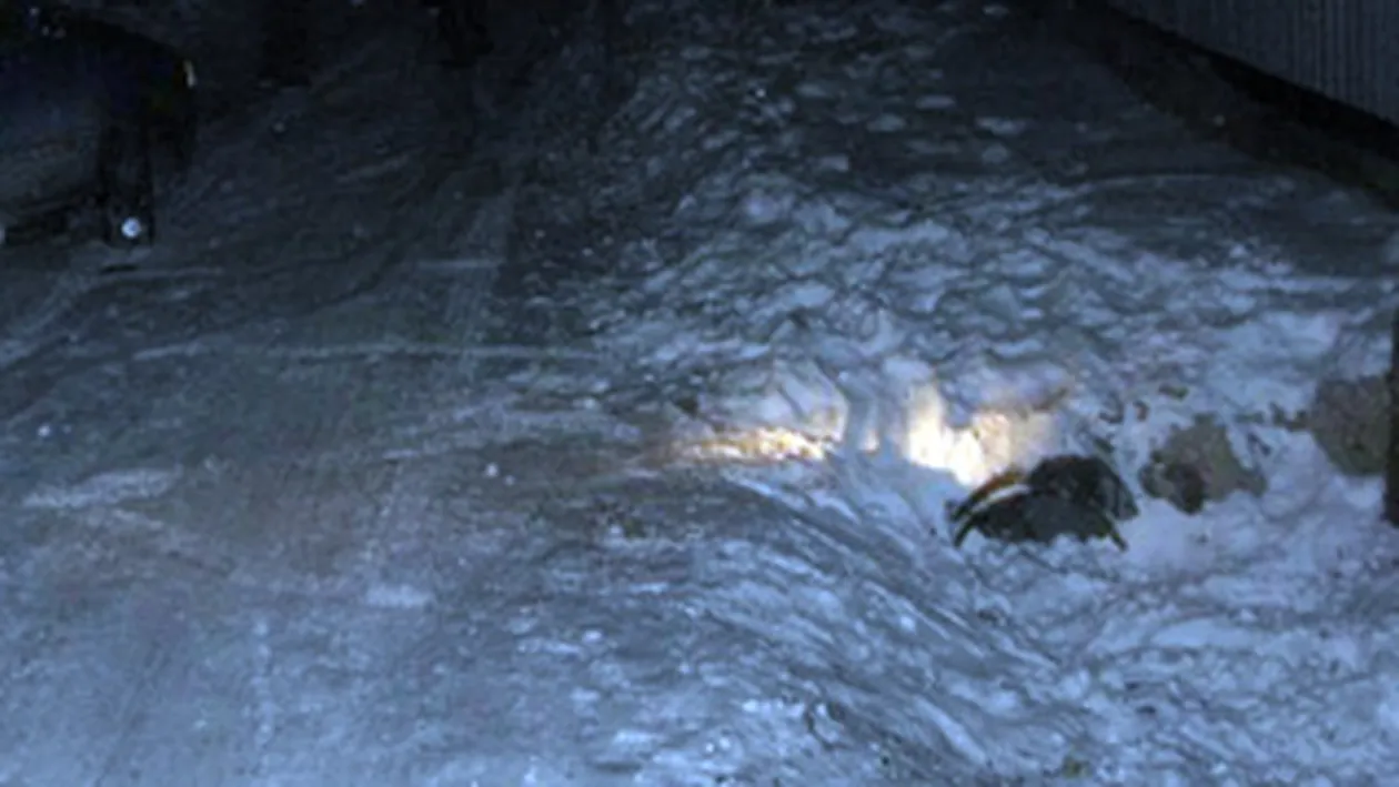 Un copil a murit la sanius! S-a izbit de un podet