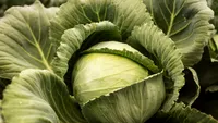 Secretul bulgăroaicelor pentru o varză mereu proaspătă. Ce trebuie să știe toate gospodinele