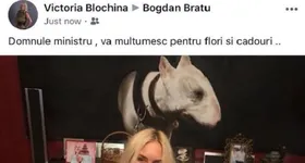 Galerie foto - poza 2