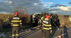 Galerie foto - poza 3