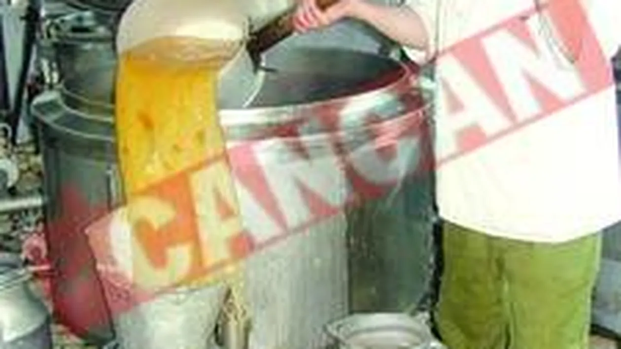 Puscariasii de la Jilava consuma intr-o zi 4 tone si jumatate de mancare