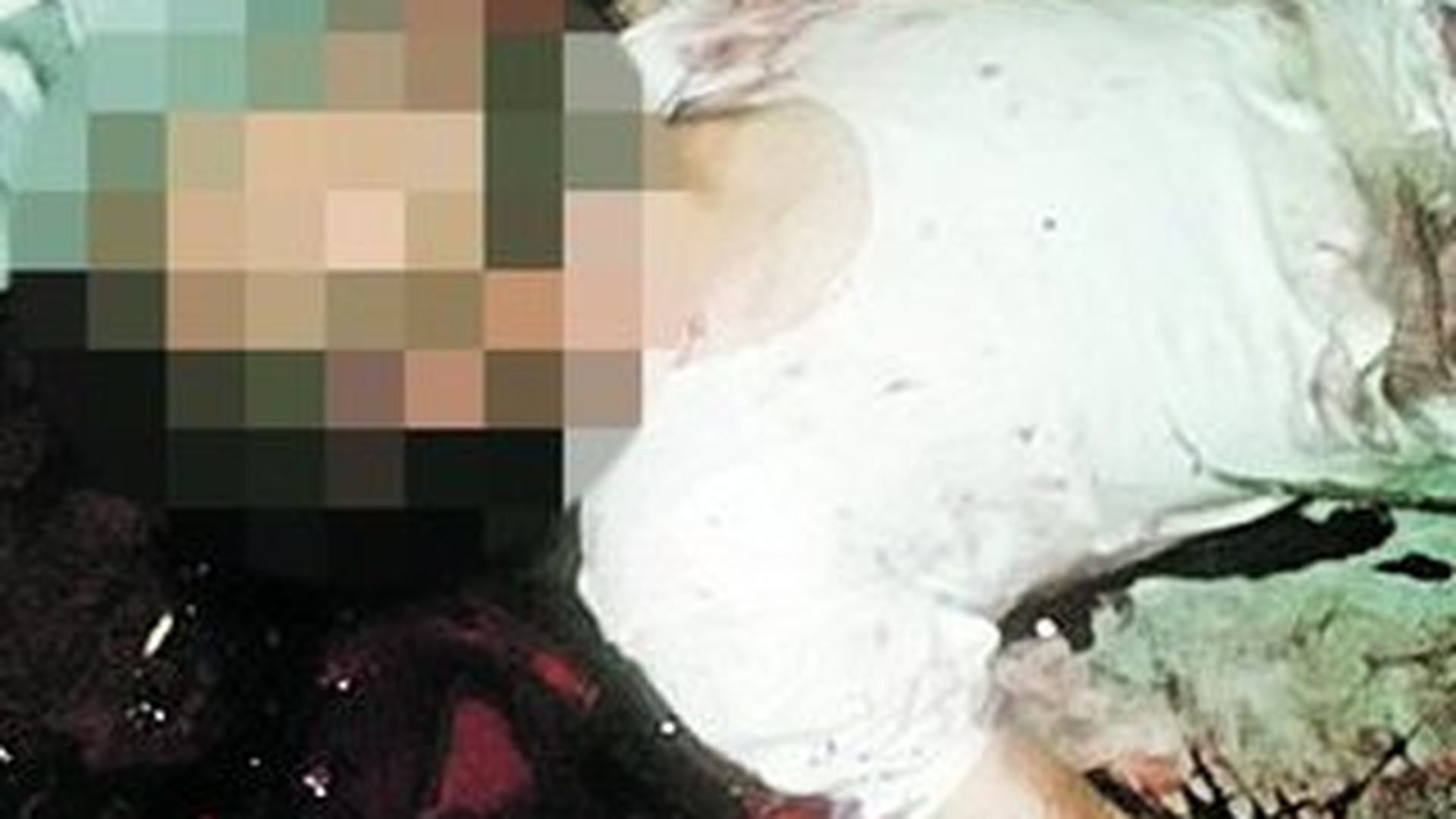 Masacru la fortareata lui Bin Laden