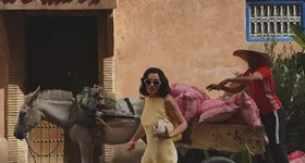 Galerie foto - poza 1