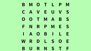 TEST IQ | Găsiți cuvântul vapor în cel mult 8 secunde!